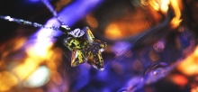真冬のShooting Star