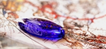 Oval galaxy