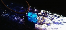 Ice stone ～ 白夜 / Dream water ～