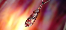 AMERICAN FLAME FEATHER
