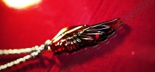 Flame raptor's wing