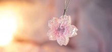Eternity cherry blossom
