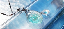 ICE ROSE