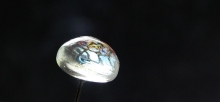 Shining world