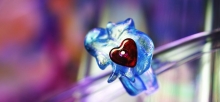 HAPPY FOREVER