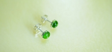 草原の風になって / ピアス