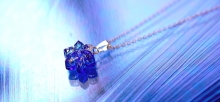 白夜に咲く花 PETIT