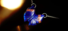 Indian Leaf Butterfly