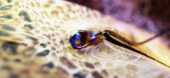 ラフォルム ガラスジュエリー ガラスアクセサリー Color spiral 内部に螺旋状に2色の色合いとレインボーラメが沿うように入った、神秘的なしずくタイプネックレスです。