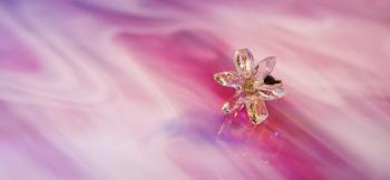 ラフォルム ガラスジュエリー ガラスアクセサリー Snow flower ～ 硝子の雪 ～ 雪の結晶のような、花のような可愛らしいフォルムのピアスです。透明感のあるクリアーベースです。内部には優しく輝くラメと、ホタルの光のように神秘的なブルーの蓄光…