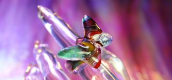 コンセプト作品・Illusional butterfly ～ 幻影の蝶 ～ 別角度から。 ラフォルム ガラスジュエリー ガラスアクセサリー