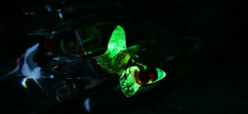 コンセプト作品・Illusional butterfly ～ 幻影の蝶 ～ 幻想的な光を放つ美しい蓄光加工を施しています。 ラフォルム ガラスジュエリー ガラスアクセサリー