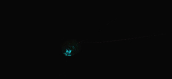 Small macrocosm 蓄光の幻想的な光。 ラフォルム ガラスジュエリー ガラスアクセサリー