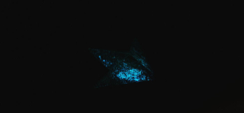 Arrow mystic cosmic ～ 宇宙を翔ける流星群 ～ 暗闇でもお楽しみいただける蓄光加工を施しました。 ラフォルム ガラスジュエリー ガラスアクセサリー