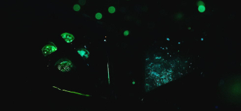 春風に煌く瞳 ～ Considerateness ～ 淡い蓄光の光。 ラフォルム ガラスジュエリー ガラスアクセサリー