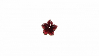 ラフォルム ガラスジュエリー ガラスアクセサリー 瑠璃の一輪桜・夜桜010(単色仕様)★ペンダント、ピアス・イヤリング、リングなどに仕立ててお届けします♪ 深いワインレッドに染まった一輪は、静かで落ち着いた大人の品格をまとった佇まい。単色でありなが…