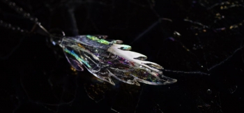 ラフォルム ガラスジュエリー ガラスアクセサリー Pure dream wing クリアー全体に煌きのあるダイクロ偏光ガラスを散りばめた存在感のあるオリジナルペンダント。一見するとフェザー(羽)タイプですが、少し視点を変えると美しい五面体のフォルム…