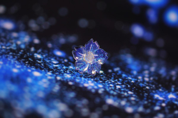 瑠璃の一輪桜・淡雪 ～ 夜星のささやき ～ 夜空にふわりと舞い降りた、一輪の淡雪桜。 ラフォルム ガラスジュエリー ガラスアクセサリー