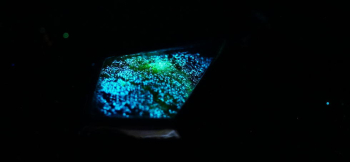 夕日に煌くMemory 内部に施した美しい蓄光加工もお楽しみください。 ラフォルム ガラスジュエリー ガラスアクセサリー