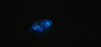 Holy blue water 神秘的なブルーの蓄光。 ラフォルム ガラスジュエリー ガラスアクセサリー