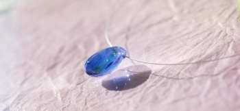 ラフォルム ガラスジュエリー ガラスアクセサリー 青空に咲く薄紫の華 優しい紫色の花は青い大空にとても似合っています。
そんな優しい薄紫色を基調に、ターコイズブルー、スプリンググリーン、バイオレット等を加えました。内部は細かな気泡が入り、光が透過…