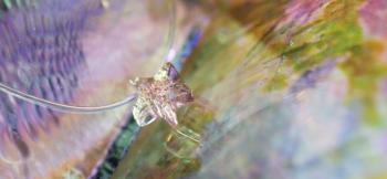 ラフォルム ガラスジュエリー ガラスアクセサリー Dichroic petit star とても小さくかわいらしい星タイプネックレスです。内部のダイクロ偏光ガラスがピンク、グリーン、ブルーなどに美しく輝きます。小さくても存在感抜群!!