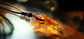 MAPLE CRYSTAL 表裏どちらにも複雑なカットを施しています。 ラフォルム ガラスジュエリー ガラスアクセサリー