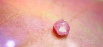 Happiness Petal ～ Jewel reflection ～ アイスロック加工を施しました。 ラフォルム ガラスジュエリー ガラスアクセサリー