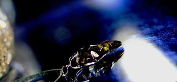 Polyhedral fang 見る角度により内部のラメの色合いが変化します。 ラフォルム ガラスジュエリー ガラスアクセサリー