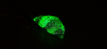 万緑の煌く季節 暗闇ではグリーンの蓄光をお楽しみいただけます。 ラフォルム ガラスジュエリー ガラスアクセサリー