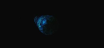 Before daybreak 美しく幻想的な蓄光加工。 ラフォルム ガラスジュエリー ガラスアクセサリー