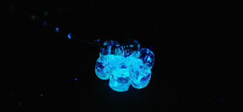 夢色の花 暗闇では美しい蓄光の光をお楽しみいただけます。 ラフォルム ガラスジュエリー ガラスアクセサリー