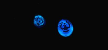 天空からの贈り物 ～ 絆 ～ 神秘的な蓄光加工を施しています。 ラフォルム ガラスジュエリー ガラスアクセサリー