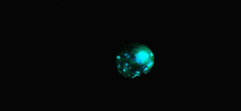 Cosmic spiral 神秘的な宇宙のイメージの蓄光。 ラフォルム ガラスジュエリー ガラスアクセサリー