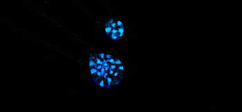 Blue fairy ～ Large & Small ～ 輝く星をイメージした蓄光。 ラフォルム ガラスジュエリー ガラスアクセサリー