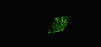 Autonomy of mind 蓄光の神秘的な光。 ラフォルム ガラスジュエリー ガラスアクセサリー