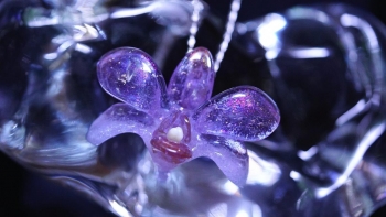 ラフォルム ガラスジュエリー ガラスアクセサリー Glass Orchid ～ 魅惑の花 ～ オーキッド(蘭)の「デンファレ系」(デンドロビウム・ファレノプシス)属をモチーフにしたペンダントとブローチの2Wayタイプのオリジナル作品が完成いたしまし…