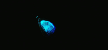 海深く輝く愛 光を吸収する度に神秘的に光る蓄光。 ラフォルム ガラスジュエリー ガラスアクセサリー
