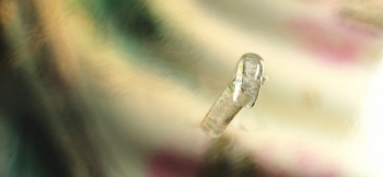 ラフォルム ガラスジュエリー ガラスアクセサリー 宇宙に瞬く流れ星 トップがクロスしたタイプのリングです。クリアベースで、内部には光を吸収する度に神秘的に光る蓄光加工を施しています。末永く昼夜お楽しみいただける素敵なデザインリングです。宝物のひとつ…