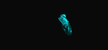 宇宙に瞬く流れ星 神秘的な蓄光の光。 ラフォルム ガラスジュエリー ガラスアクセサリー