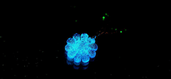 幾千夢幻の花 暗闇では神秘的な蓄光色をお楽しみいただけます。 ラフォルム ガラスジュエリー ガラスアクセサリー