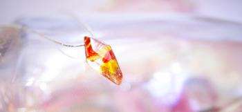 ラフォルム ガラスジュエリー ガラスアクセサリー ENERGY DIAMOND クリアーベースに、元気になりそうなオレンジやイエローを大胆なマーブルデザインで施しました。内部には、光を吸収する度に暗闇で舞うホタルのような神秘的で幻想的な蓄光のグリー…