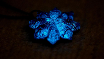 臙脂菊 暗闇では淡いブルーの光を。 ラフォルム ガラスジュエリー ガラスアクセサリー