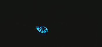 Great mind ～ 星空 ～ 暗闇でもお楽しみいただける蓄光加工を施しています。 ラフォルム ガラスジュエリー ガラスアクセサリー