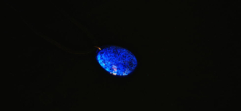 Blue Drop ~ 深海の輝石 ~ 美しいターコイズブルーに蓄光します。 ラフォルム ガラスジュエリー ガラスアクセサリー