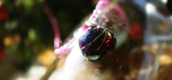 ラフォルム ガラスジュエリー ガラスアクセサリー Dream fortune クリスマスの楽しい雰囲気にぴったりのカワイイ雰囲気のペンダントです!(^^)!