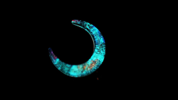 Cold pale moon 暗闇では神秘的な蓄光の光。 ラフォルム ガラスジュエリー ガラスアクセサリー