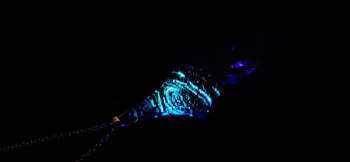 幻影に煌く青い星 暗闇では銀河の渦が浮かび上がります。 ラフォルム ガラスジュエリー ガラスアクセサリー