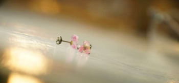 Pure petit Heart 透明感のある優しいイメージです。 ラフォルム ガラスジュエリー ガラスアクセサリー