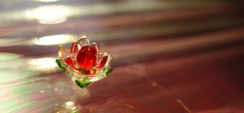 純愛の蓮 つぼみから徐々に花を開き始めた蓮のイメージ。 ラフォルム ガラスジュエリー ガラスアクセサリー